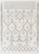 Aliyah shag Rugs 24 x 36 Inches by Surya ALH2315 - ALH2315