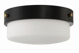 Oak Street 2 Light 13 Inch Wide Flush Mount by Craftmade - X3214