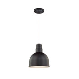 R Series 1 Light Cord Hung Deep Bowl Pendant 10 Inch Wide by Millennium - RDBC10