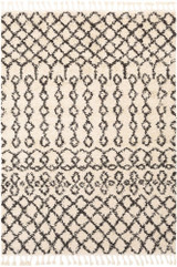 Berber Shag Rugs 24 x 35 Inches by Surya BBE2309 - BBE2309