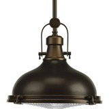 Fresnel 1 LED Light Medium Pendant by Progress - P5188