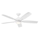 Tranquil 5 Blade Ceiling Fan with Light Kit 56 Inch Blade Span by Kichler - 310130