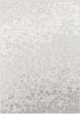 Contempo Rugs 24 x 35 Inches by Surya CPO3843 - CPO3843