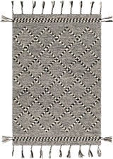 Zanafi Tassels Rugs 24 x 36 Inches by Surya ZTS2303 - ZTS2303