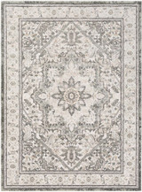 Quatro Rugs 24 x 35 Inches by Surya QUA2315 - QUA2315