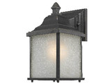 Charleston 1 Light Outdoor Wall Lantern 10.25 Inch Tall by Dolan - 931