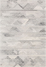 Tahoma Rugs 24 x 36 Inches by Surya TMO1001 - TMO1001
