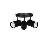 Taylor 3 Light Track Light 5.5 Inch Tall and 13 Inch Wide by Dainolite - TAY-123SF