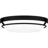 Dunbar Light 16 Inch Wide Flush Mount by Quoizel - DNB1616