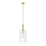Gatz 1 Light Large Pendant by Hunter Fans - G1_197_P