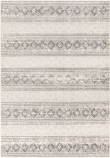 Chester Rugs 63 x 87 Inches by Surya CHE2308 - CHE2308