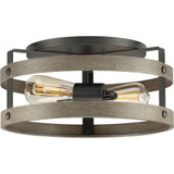 Gulliver 2 Light 14.37 Inch Wide Flush Mount by Progress - P350169