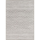 Contempo Rugs 24 x 35 Inches by Surya CPO3847 - CPO3847