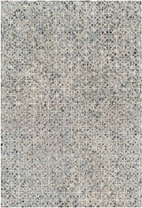 Avon Rugs 24 x 36 Inches by Surya AVO2303 - AVO2303