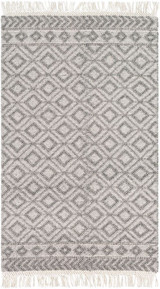 Farmhouse Tassels Rugs 24 x 36 Inches by Surya FTS2302 - FTS2302