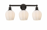 Norfolk 3 Light Industrial Vanity Light 23.75 Inch Wide by Innovations - 616-3W-G46-6