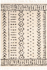 Berber Shag Rugs 24 x 35 Inches by Surya BBE2311 - BBE2311