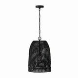 Naomi 1 Light Medium Pendant by Capital - 347512