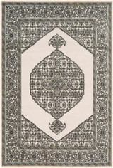Aesop Rugs 24 x 35 Inches by Surya ASP2318 - ASP2318