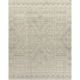 Tunus Rugs 24 x 36 Inches by Surya TUN2306 - TUN2306