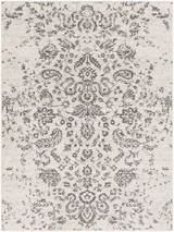 Bahar Rugs 24 x 35 Inches by Surya BHR2306 - BHR2306