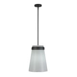 Dahlia 1 Light Pendant 16 Inch Tall and 12 Inch Wide by Artcraft - AC10640