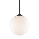 Globe 1 Light Medium Pendant by Troy - GL12M2HS24BK