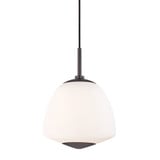Jane 1 Light Small Pendant 11 Inch Tall by Mitzi - H288701S
