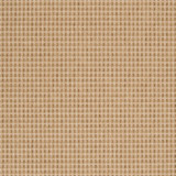 Elements Rugs 26 x 40 Inches by Surya - ELT1001