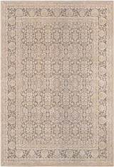 Aesop Rugs 24 x 35 Inches by Surya ASP2300 - ASP2300