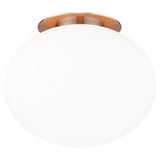 Mayu 1 Light 8 Inch Wide Flush Mount by Matteo - X12111