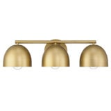 Erling 3 Light Bath Vanity 6 Inch Tall and 22 Inch Wide by Hunter Fans - 48136