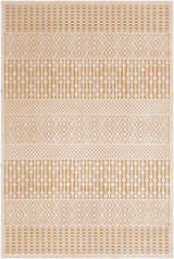 Aesop Rugs 24 x 35 Inches by Surya ASP2303 - ASP2303