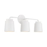 Pratt 3 Light Vanity Light by Austin Allen - AA1036