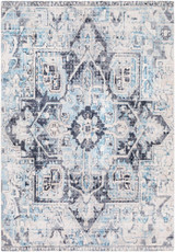 Apricity Rugs 24 x 36 Inches by Surya APY1014 - APY1014