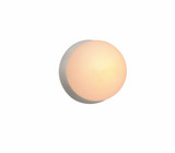 Ambiance 5W 1 LED Light Petite Coupe Wall Sconce by Justice Design - CER-3040