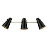 Reeva 3 Light Vanity Light by Golden - 2122-BA3