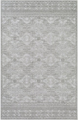 Greenwich Rugs 24 x 35 Inches by Surya GWC2314 - GWC2314