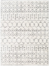 Aliyah shag Rugs 24 x 36 Inches by Surya ALH2302 - ALH2302