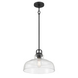 Clarien 1 Light Pendant 10 Inch Tall and 14 Inch Wide by Millennium - 98101
