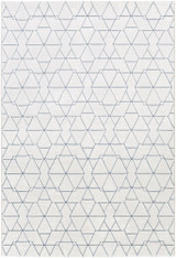 Contempo Rugs 24 x 35 Inches by Surya CPO3733 - CPO3733
