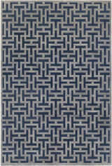 Aesop Rugs 24 x 35 Inches by Surya ASP2312 - ASP2312