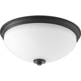 Replay 2 Light 14 Inch Wide Flush Mount by Progress - P3423