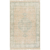 Zainab Rugs 24 x 36 Inches by Surya ZAI2305 - ZAI2305