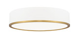 Bradley 50W 1 LED Flush Mount 4 Inch Tall and 20.25 Inch Wide By Z-Lite - 1018F20