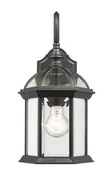 Annex 1 Light Outdoor Wall Lantern by Z Lite - 563M