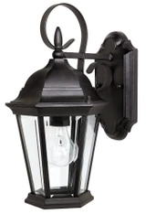 Carriage House 1 Light Outdoor Wall Lantern 15 Inch Tall by Capital - 9726