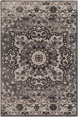 Amsterdam Rugs 24 x 36 Inches by Surya AMS1018 - AMS1018