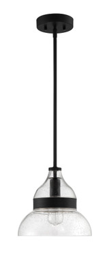 1 Light Small Pendant 10.75 Inch Tall by Craftmade - P960