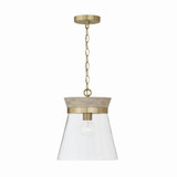 Finn 1 Light Medium Pendant by Capital - 347311